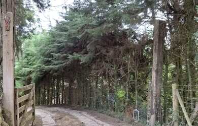 Imagem 10: Casa à venda em Gonçalves-MG