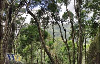 Imagem: A fazenda possui 27.000m² de Área e está localizado em Centro