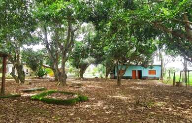 Imagem: A fazenda possui 10.000m² de Área e está localizado em Abadia