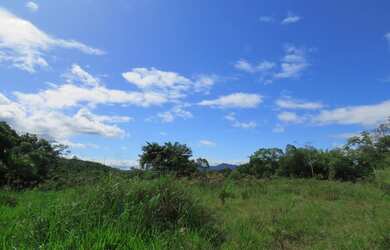 Imagem 7: FAZENDA Fazenda / sítio com venda por R$2.500.000