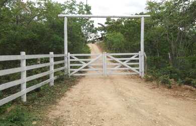 Imagem: A chácara está localizado em Jaboticatubas, MG à venda por