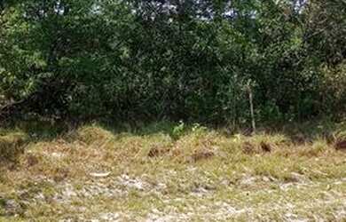 Imagem: O terreno possui 290m² de Área e está localizado em Chapada