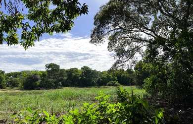 Imagem: A chácara possui 3.000m² de Área e está localizado em Área