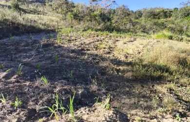 Imagem 3: A M Imoveis Vende ou Permuta fazenda em Cavalcante - Goiás