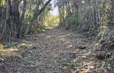 Imagem 7: Terreno Amplo 6,9 Hectares - Gramado RS - Excelente Localização