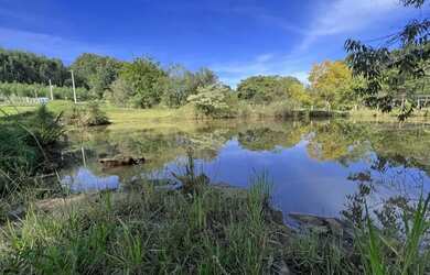 Imagem 3: Áreas de Terra -. 16.427m² de Área