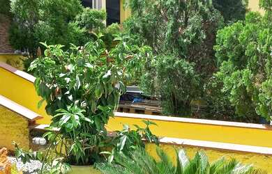 Imagem 10: Excelente casa área central do bairro