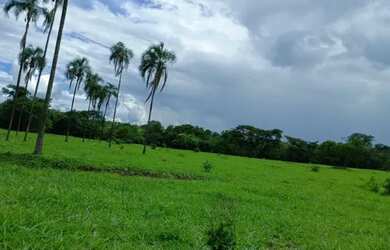 Imagem: A fazenda possui 350000-0m² de Área e está localizado em