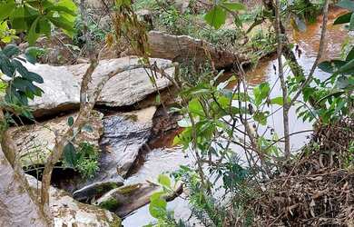 Imagem 16: VENDO urgente esta CHÁCARA