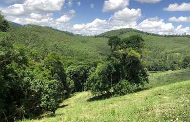 Imagem 1: Lotes de 20x50. 1.000m² de Área