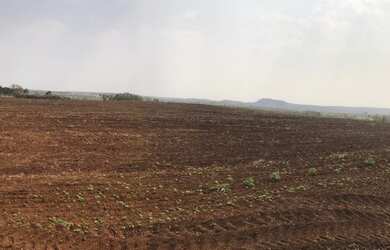 Imagem 6: 133. Fazenda à venda de 200 hectares para lavoura - Rochedo-MS