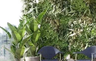 Imagem 4: COBERTURA RESIDENCIAL em São Paulo - SP, Moema