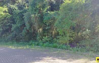Imagem 5: Terreno para Venda em Nova Petrópolis, Juriti