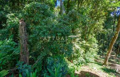 Imagem 7: GRANDE TERRENO NO BAIRRO VILA SUZANA