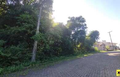 Imagem 7: Terreno para Venda em Nova Petrópolis, Juriti