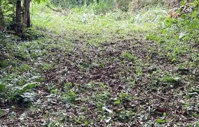 Imagem 1: Venda. 1.500m² de Área