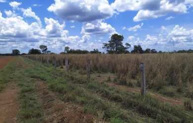 Imagem 4: Fazenda em Peixe. 4.890m² de Área