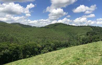 Imagem 4: Lotes de 20x50. 1.000m² de Área