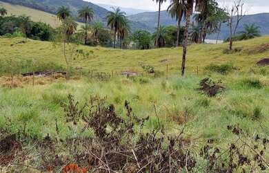 Imagem 7: VENDO urgente esta CHÁCARA