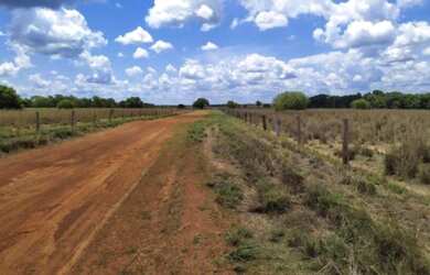 Imagem 6: Fazenda em Peixe. 4.890m² de Área