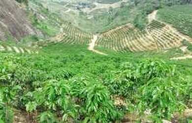 Imagem: A chácara está localizado em Centro, Conselheiro Lafaiete