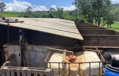 Imagem 13: Sitio com 12 Alqueires na Região de Franca - Pereira