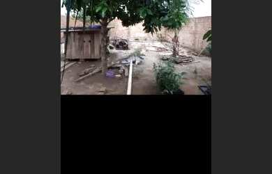 Imagem 4: Vendo essa casa. 275m² de Área, 5 Vagas na garageme2 Dormitórios