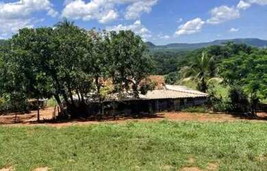 Imagem 15: Sitio com 12 Alqueires na Região de Franca - Pereira