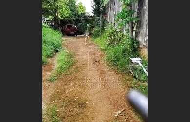 Imagem 13: Terreno à venda, 400 m² por R$ 1.000.000,00 - Paraíso - Santo André/SP