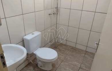 Imagem 9: Locação de Casas / Padrão na cidade de Araraquara