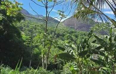 Imagem: O terreno possui 2.000m² de Área e está localizado em Jacarepaguá