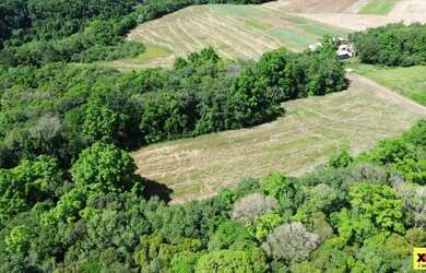 Imagem 8: Sítio / Chácara para Venda em Nova Petrópolis, Linha Araripe
