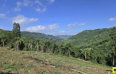 Imagem 9: Sítio / Chácara para Venda em Nova Petrópolis, São Jacó