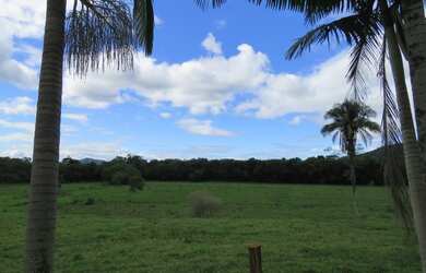 Imagem 15: FAZENDA Fazenda / sítio com venda por R$2.500.000