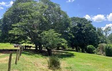 Imagem 3: Sitio com 12 Alqueires na Região de Franca - Pereira