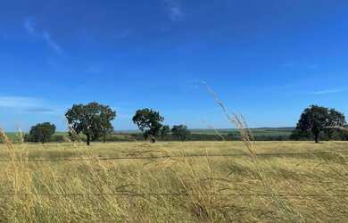 Imagem: A fazenda está localizado em Uberlândia, MG à venda por
