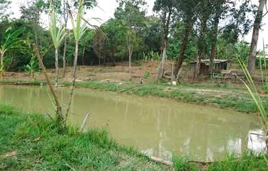 Imagem: A fazenda está localizado em Jaboticatubas, MG à venda por