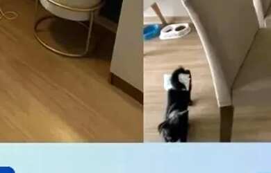 Imagem: O apartamento possui 2 Dormitórios, 2 Banheiros, 51m² de Área