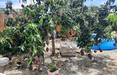 Imagem 3: Casa em iguabinha. Varanda, 60m² de Área, 2 Banheirose2 Dormitórios