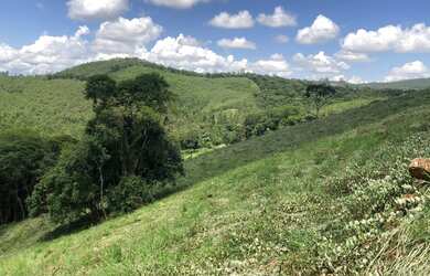 Imagem 11: Lotes de 20x50. 1.000m² de Área