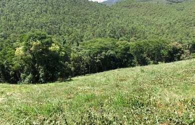 Imagem 2: Lotes de 20x50. 1.000m² de Área