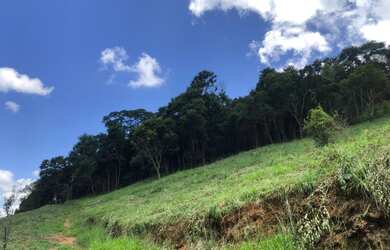 Imagem 14: Lotes de 20x50. 1.000m² de Área