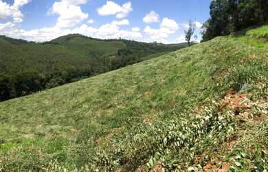 Imagem 6: Lotes de 20x50. 1.000m² de Área