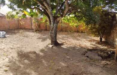 Imagem 6: Imóvel no Santo Antônio do Descoberto