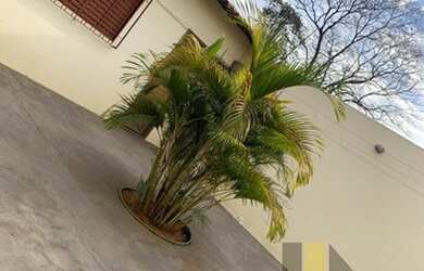 Imagem 7: Casa em Jardim Arroyo - São José do Rio Preto