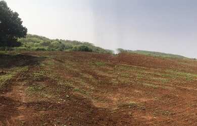 Imagem 8: 133. Fazenda à venda de 200 hectares para lavoura - Rochedo-MS