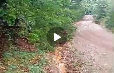 Imagem 11: A M IMOVEIS VENDE EXELENTE FAZENDA COM 400HECTARES EM PARACATU MG