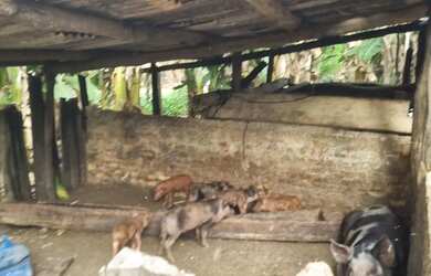 Imagem 7: Chácara 2.660 metros valor 430.000