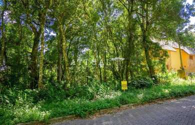 Imagem 3: GRANDE TERRENO NO BAIRRO VILA SUZANA