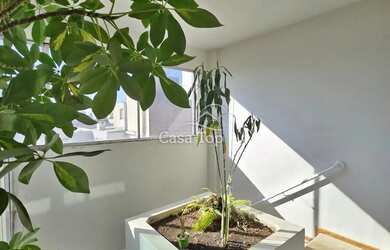 Imagem 9: Cobertura Duplex à venda Edifício Leopoldo Roedel - Centro